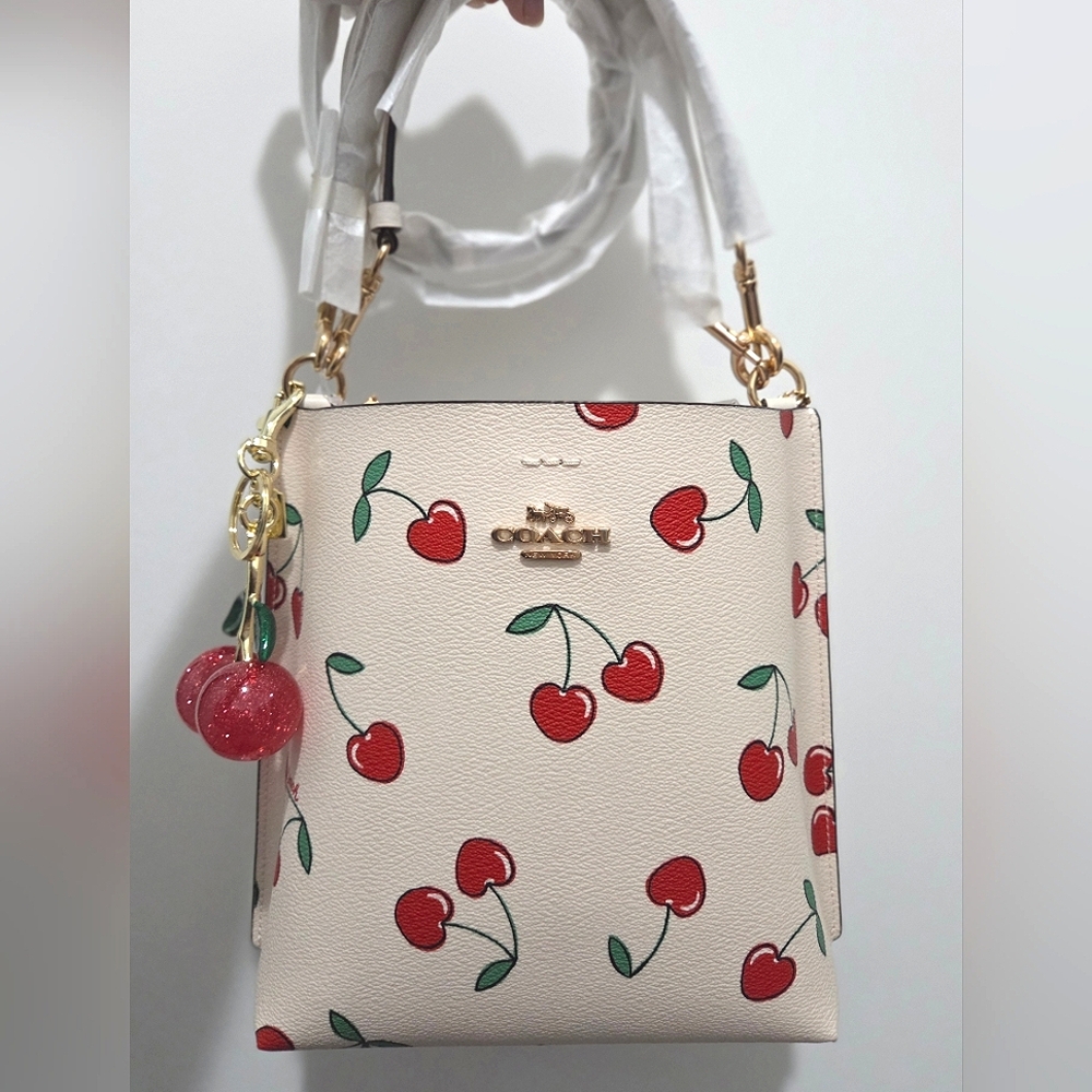 Coach Mollie Bucket 22